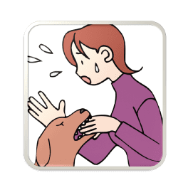 犬の噛み癖のしつけ